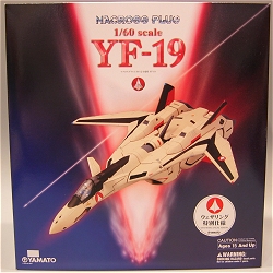 YAMATO(やまと) マクロスプラス 1/60 完全変形 YF-19 ウェザリング特別仕様 (Weathering Special version)