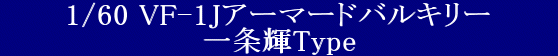 ARCADIA(AJfBA) vǃ}NX 1/60 Sό` VF-1J A[}[hoL[  P type